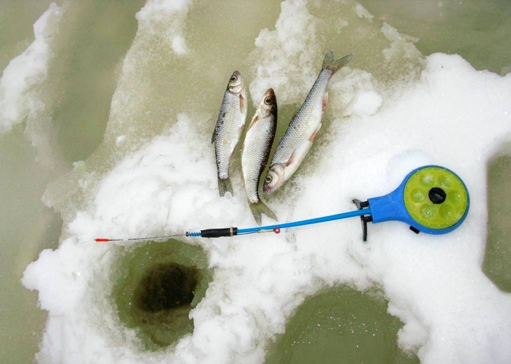 Зимняя рыбалка — разбираемся вместе