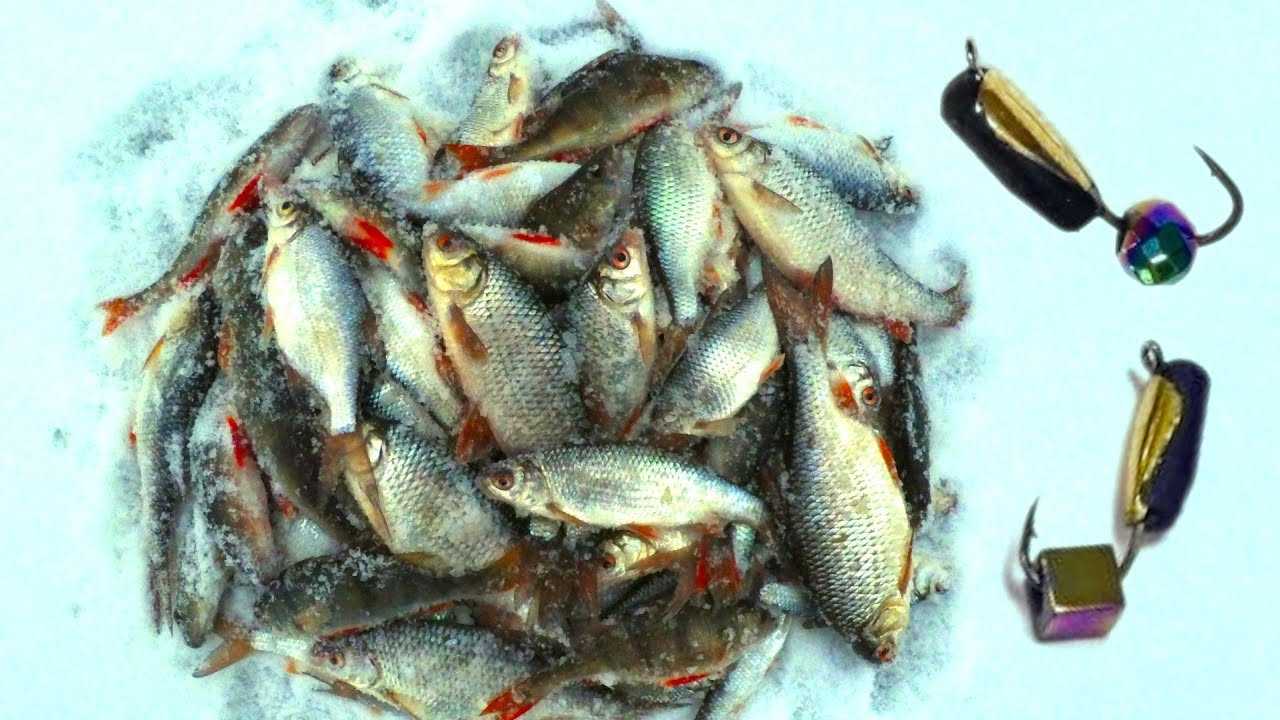 Рыбалка на безмотылку зимой:  выбор снастей и приманки, техника ловли