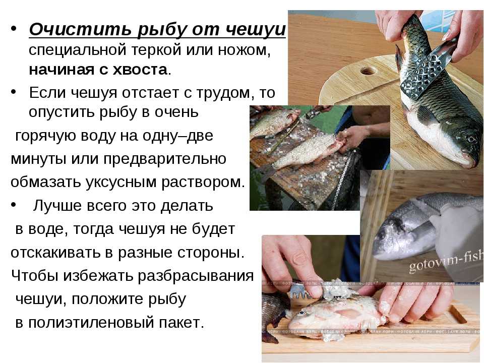 Надо очиститься. Чистка рыбы. Способы очистки рыбы от чешуи. Оборудование для снятия чешуи с рыбы. Чешуйчатые рыбы чистка.