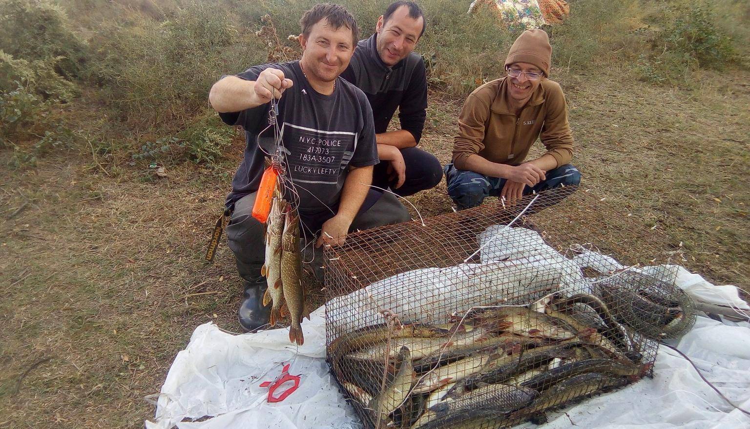 ᐉ терек - место для рыбака - ✅ ribalka-snasti.ru
