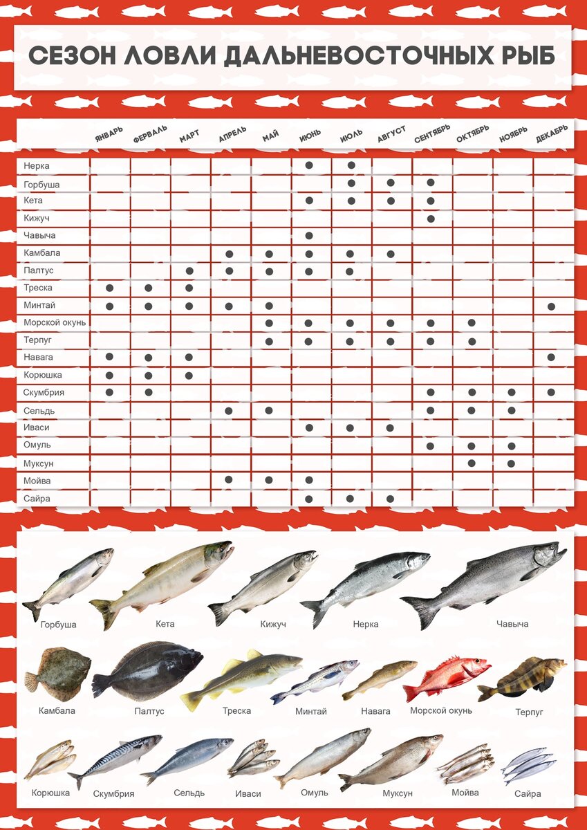Сроки лова. Таблица рыбалки. Календарь вылова морской рыбы. Таблица рыбной ловли.