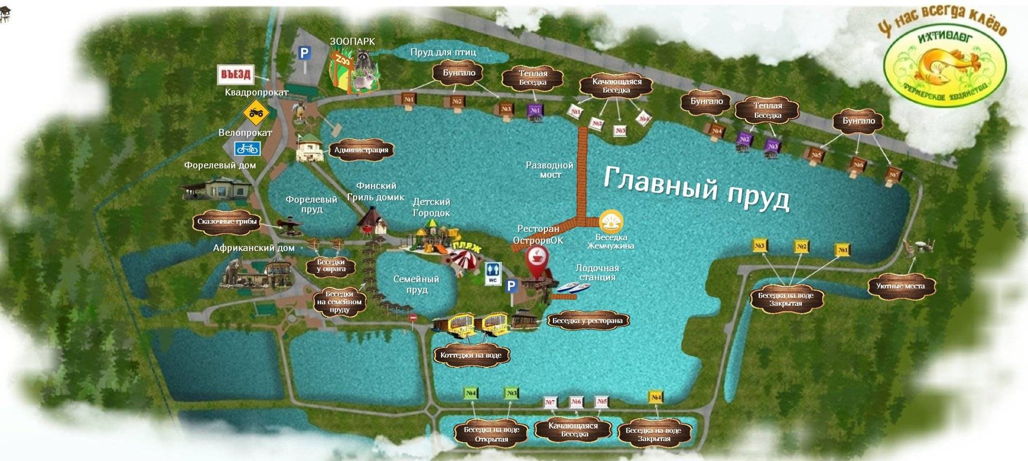 Рыбалка лесопарк