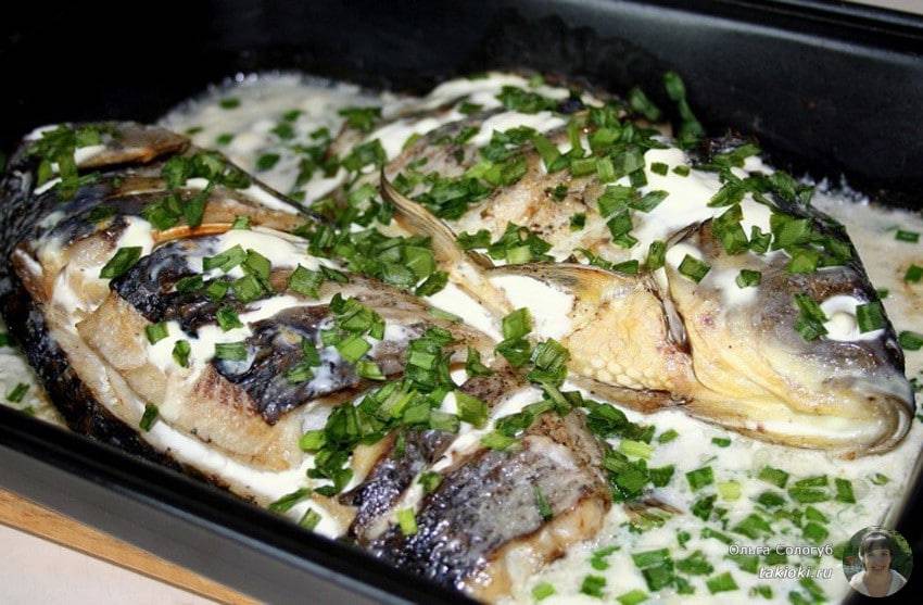 Линь в сметанном соусе — рыбные рецепты