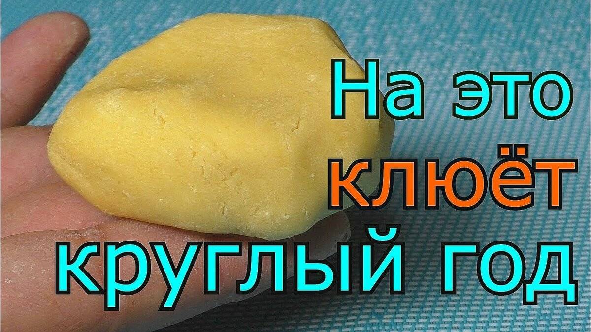 Тесто для рыбалки, как сделать: рецепт уловистой приманки из муки и манки для ловли рыбы летом или зимой