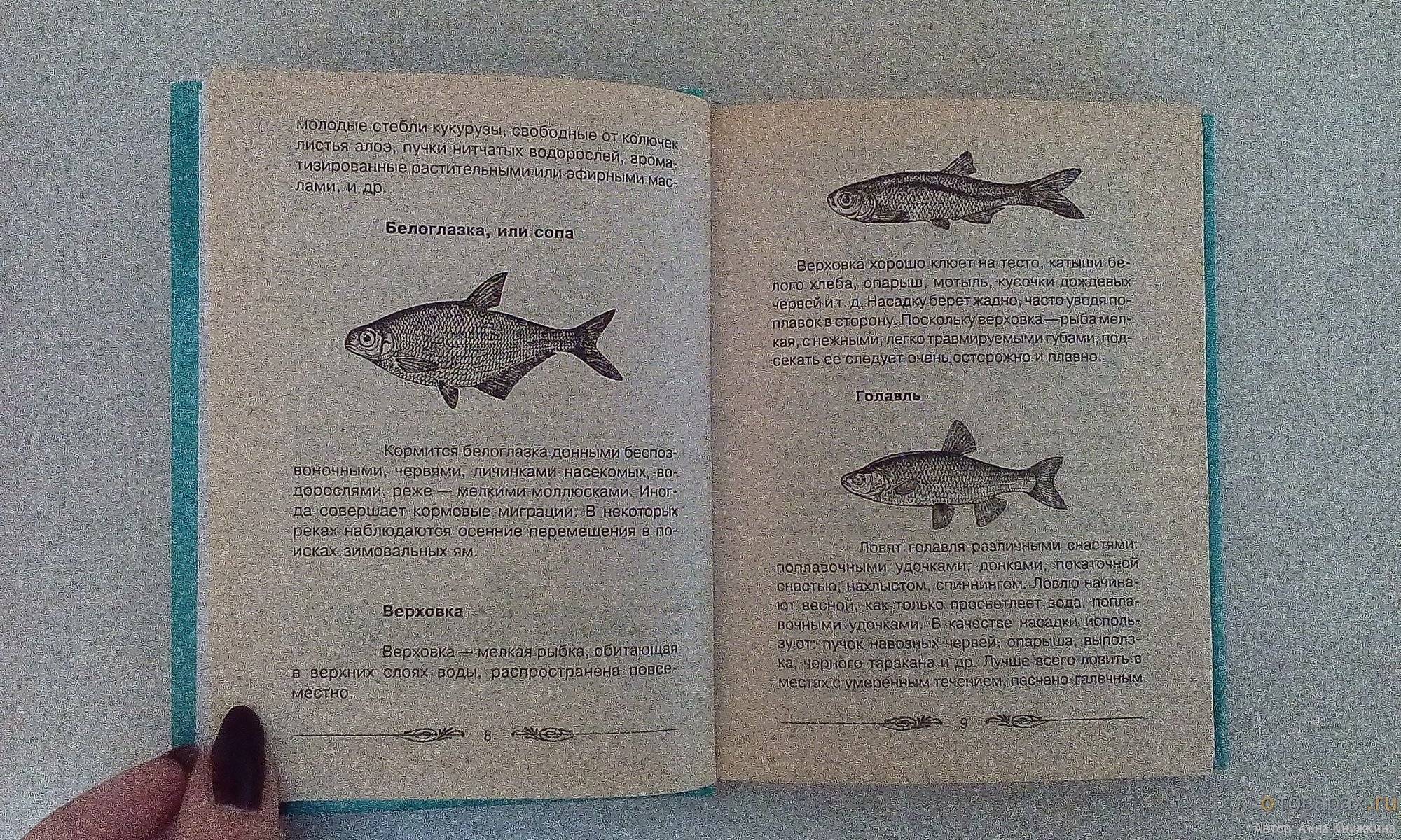 Рыболовный словарь