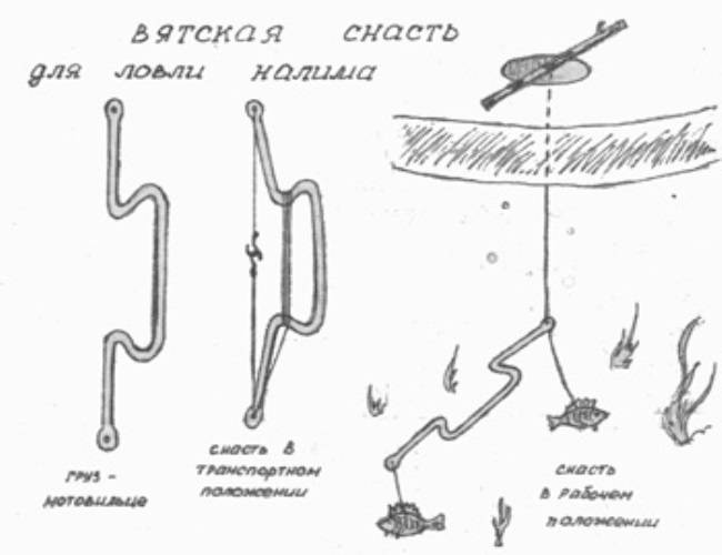 Зимняя ловля налима на стукалку: описание снасти и техники проводок