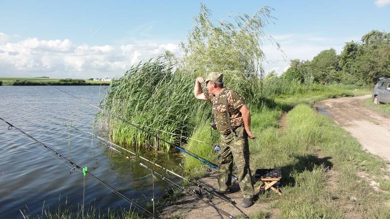 Рыбалка в краснодарском крае и краснодаре - fishingwiki