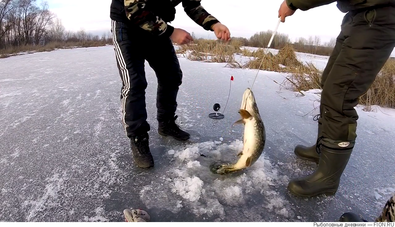 Ловят ли щуку в марте. Зимняя рыбалка на щуку. Зимняя платная рыбалка. Рыбалка на щуку зимой. Щука на льду.