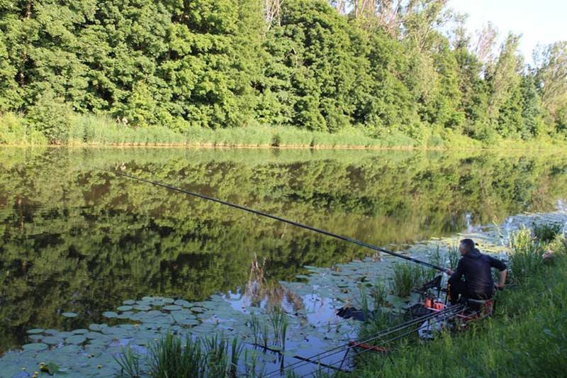 Рыбалка в калининградской области сегодня: рыбные места, запреты