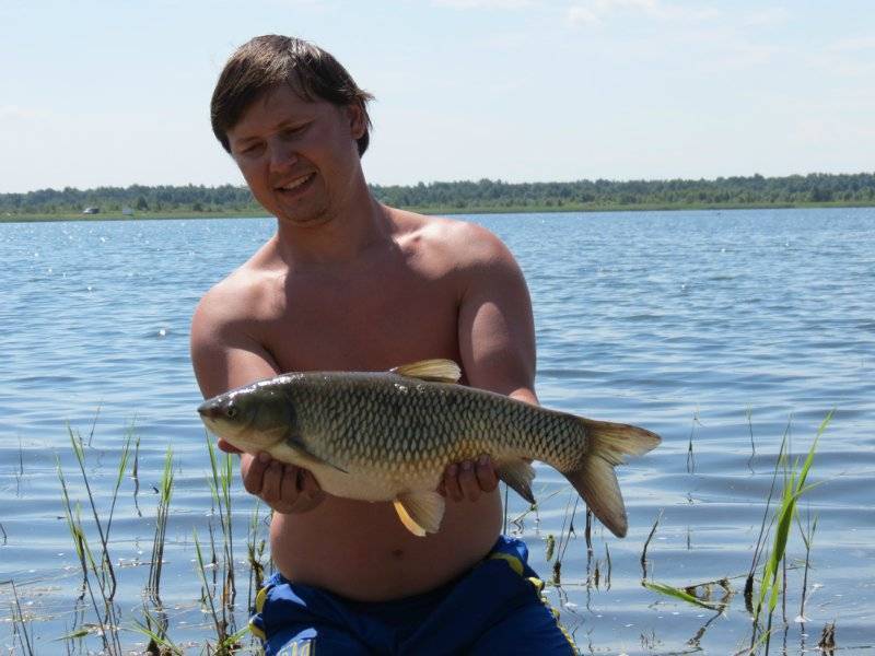 ✅ рыбалка в кузькино белгородская область - уловистые пруды - все про рыбалку