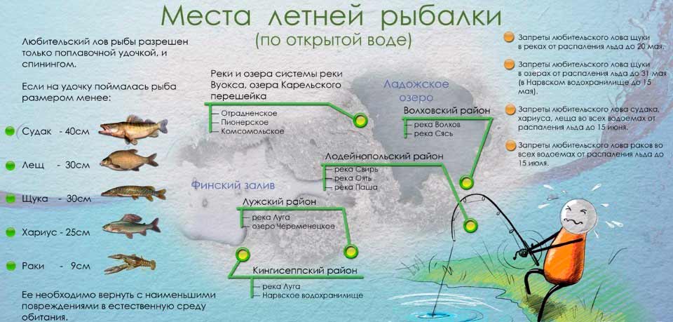 Рыбалка в ленинградской области: места, рыбы, советы, правила, обзор