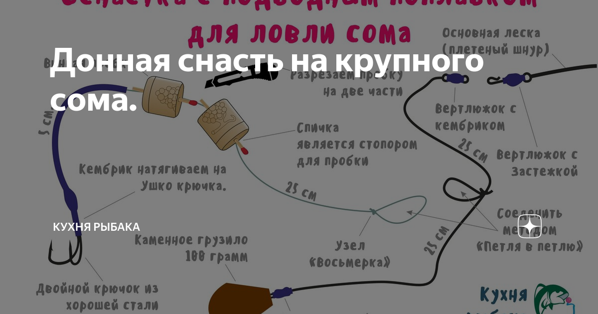 На что ловится сом? лучшие наживки и приманки в зависимости от сезона