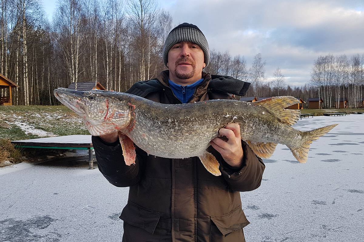 Ловля щуки осенью: премудрости рыбалки по холодной воде