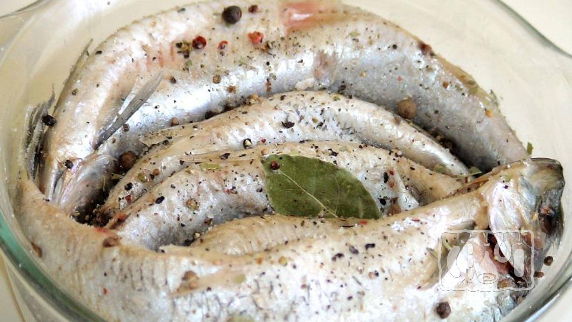 Сухой посол рыбы - балыковая быстрая засолка