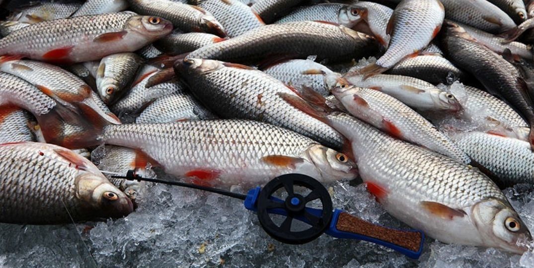 Зимняя ловля на мормышку: виды самых уловистых мормышек, оснастка + советы опытных рыбаков, как сделать своими руками