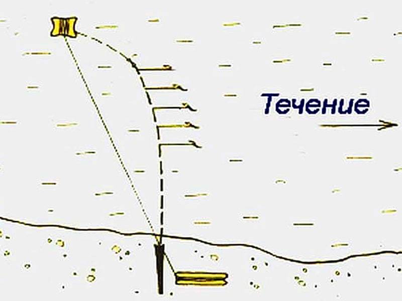 Ловля на резинку карася, карпа, судака, леща и щуки :: syl.ru