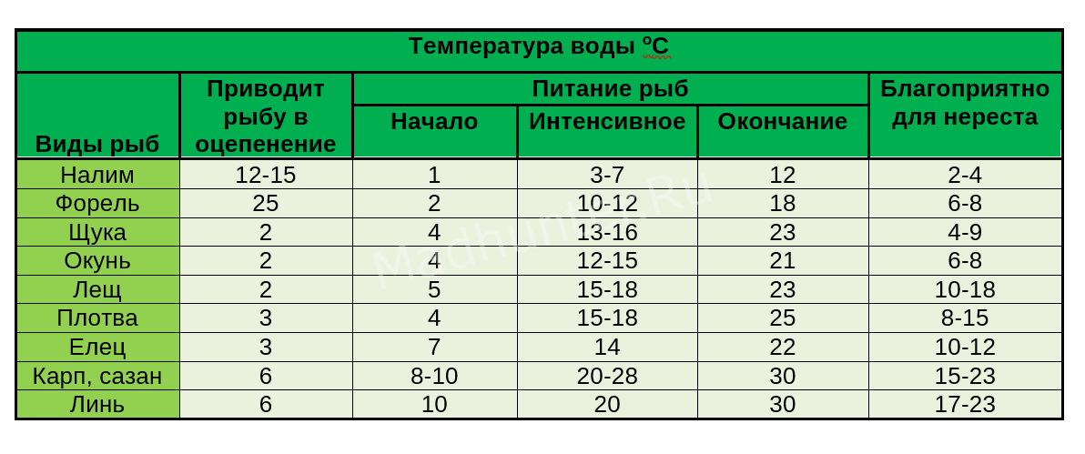 Рыба плотва (сорога): где живет, на что ловится