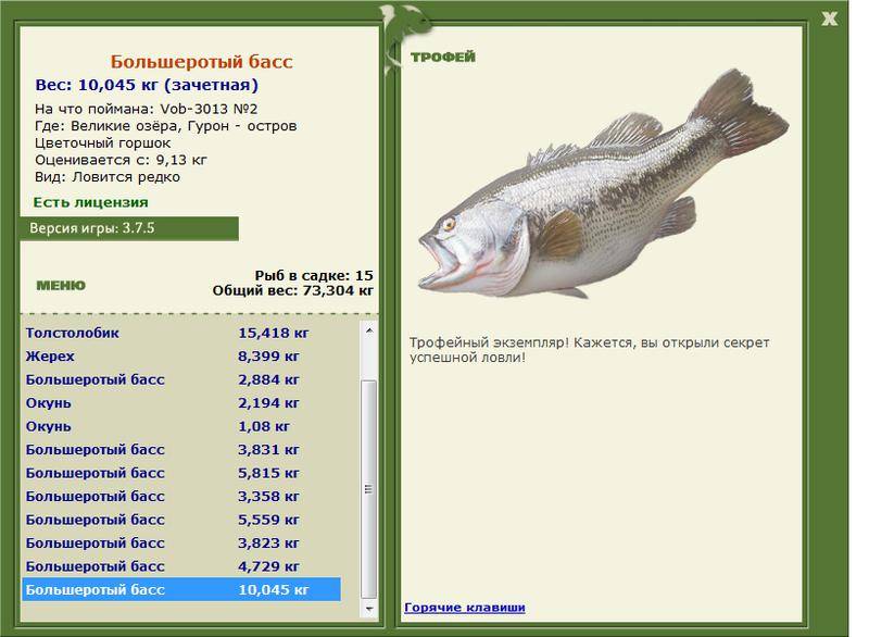 Как выглядит рыба-гибрид? описание, среда обитания, преимущества перед чистыми формами