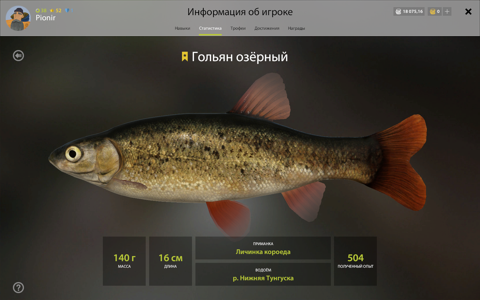 Рыба гольян: описание с фото, внешний вид, среда обитания, рыбалка