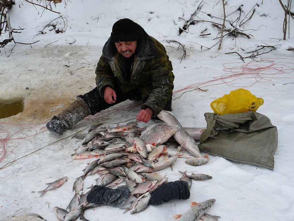 Что нужно на зимнюю рыбалку начинающим — снаряжение, снасти и способы лова