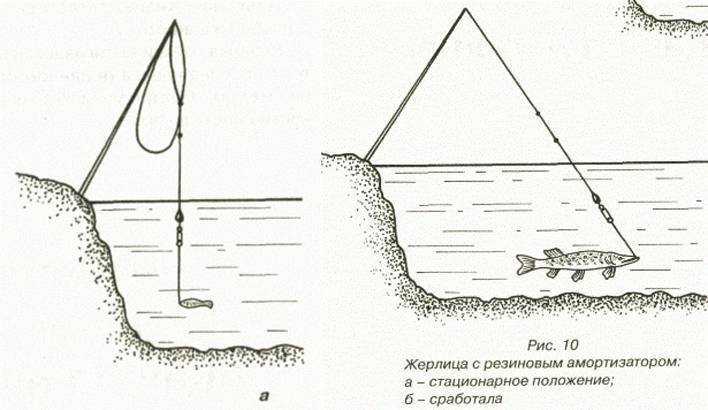 Летняя жерлица: пошаговое описание как сделать своими руками и как на нее ловить рыбу (105 фото)