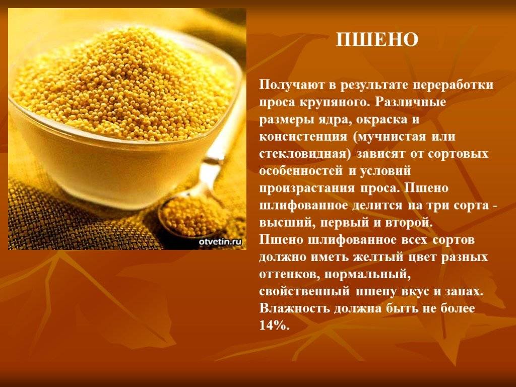 Как варить пшено для рыбалки на леща - в чем разница, плюсы и минусы