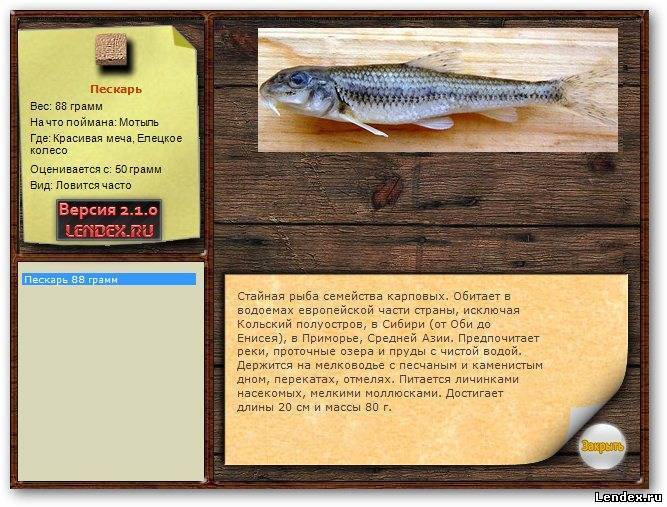 Зимняя рыбалка с мормышкой — тактика ловли, техника и снасти