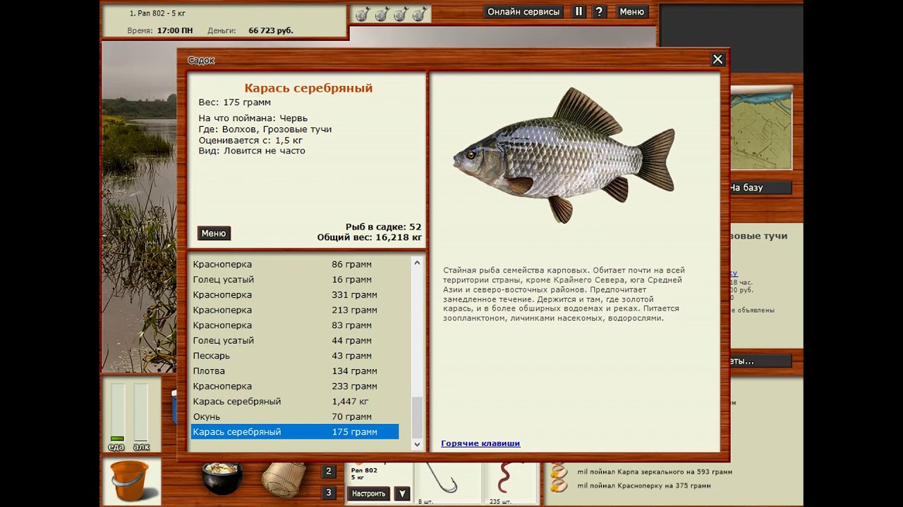 Русская рыбалка 3 деньги