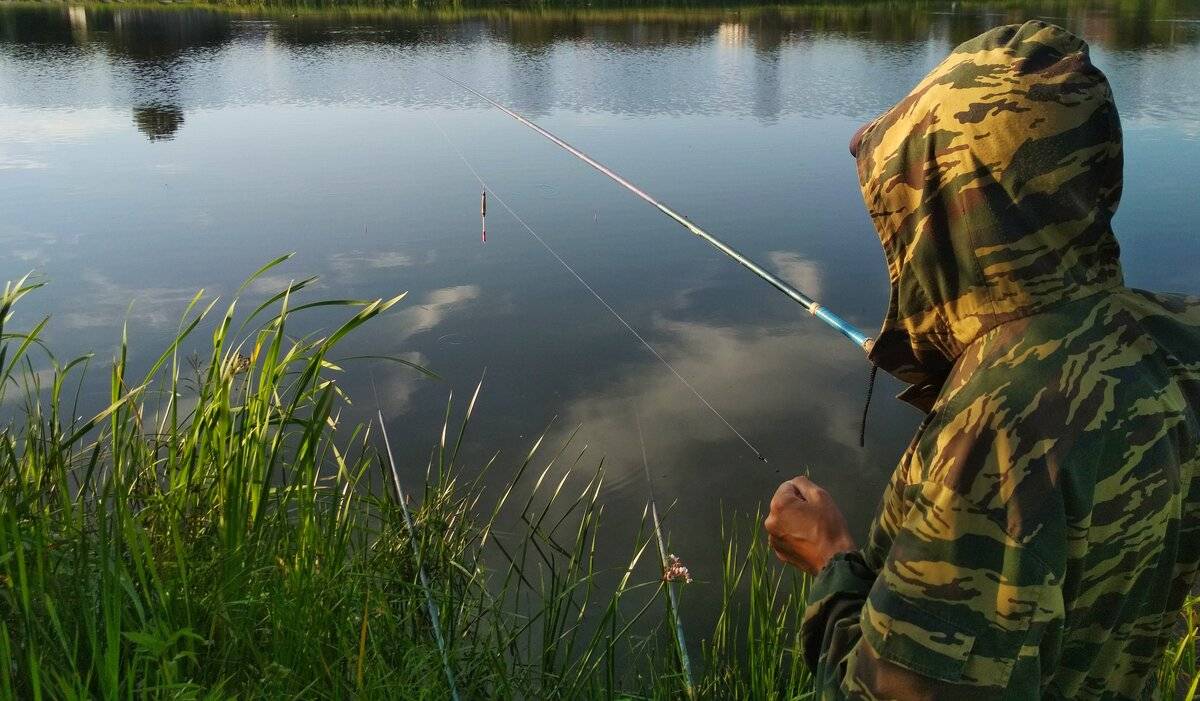 Места для рыбалки в республике дагестан – платная и бесплатная рыбалка!