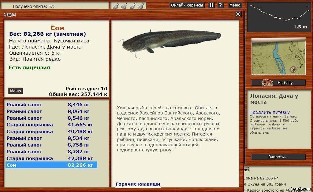 Маршруты с байдарками по ленобласти