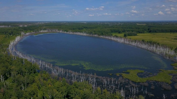 Река чулым (приток оби) - уровень воды, рыбалка и сплав, карта россии, куда впадает, где находится