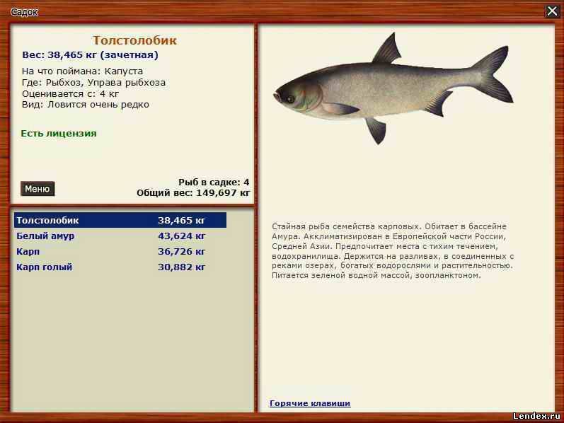 Рыбалка на суре — какие виды водятся в реке мордовии