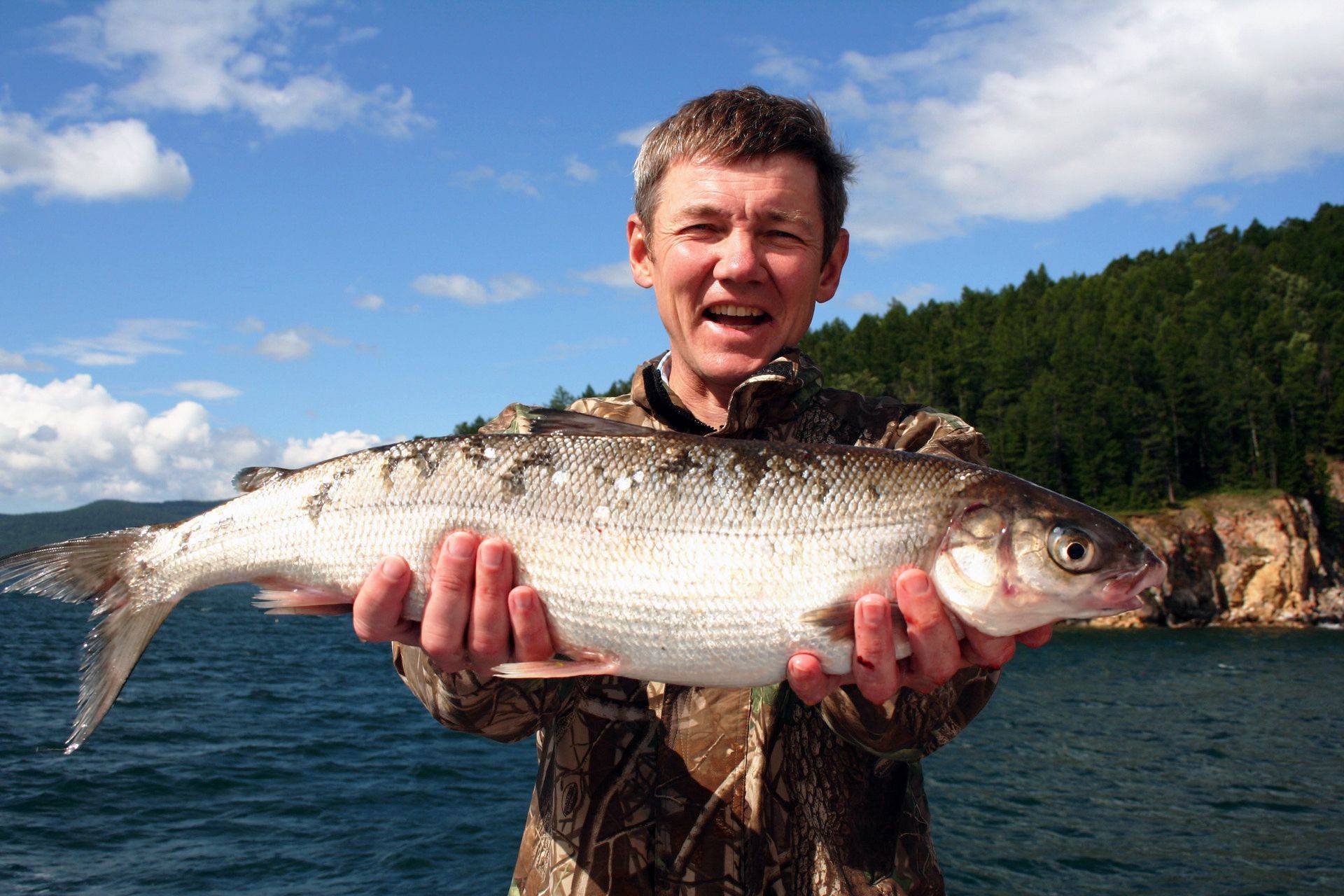 Рыбу покажи как ловят. Сиг Мончегор. Озеро Байкал рыбалка. Озеро Байкал омуль. Озеро Байкал рыба сиг.