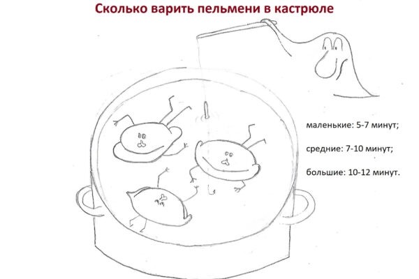 Пельмени из щуки — рецепты, правила приготовления, необходимые ингредиенты