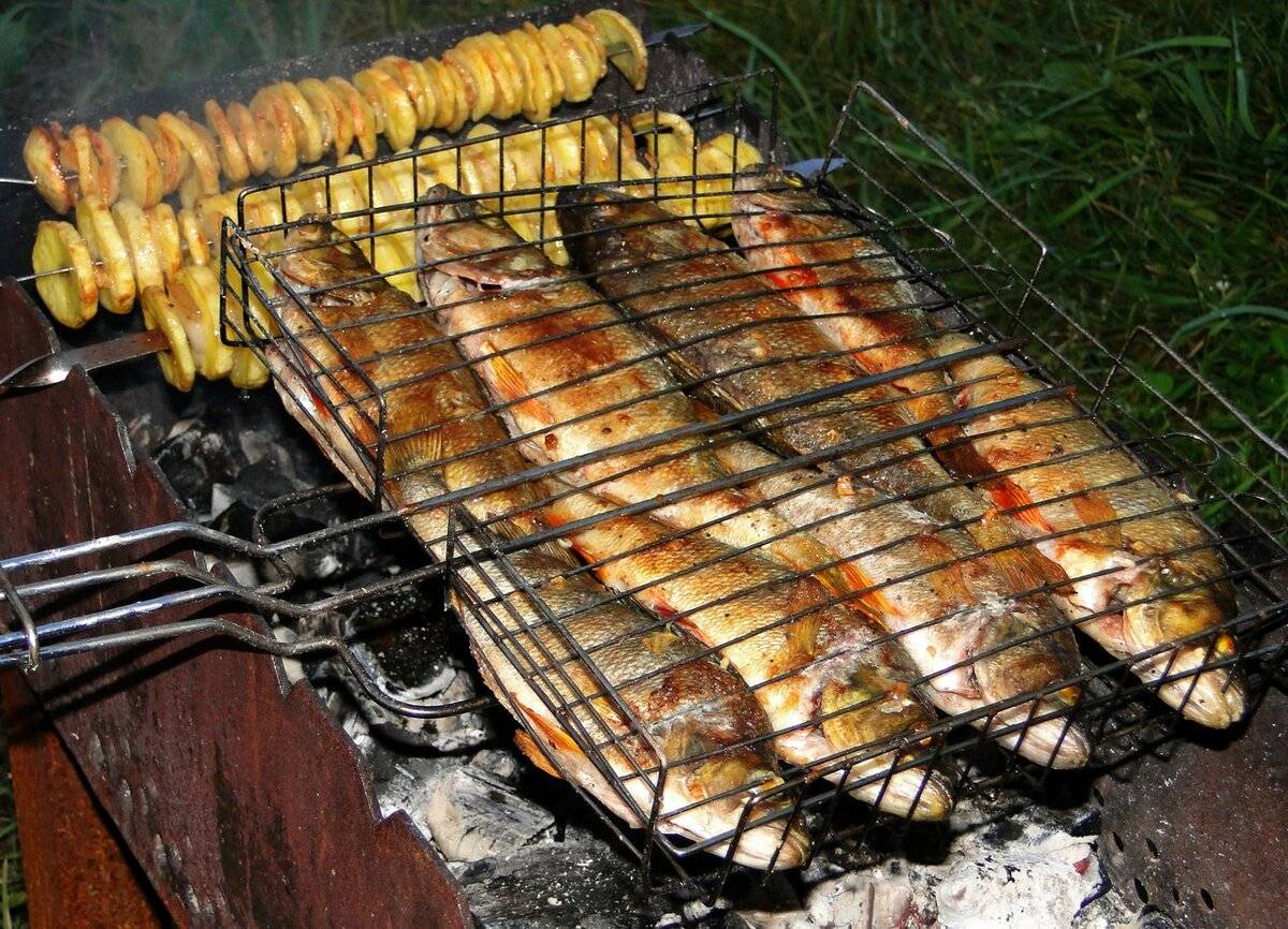 Шашлык из рыбы – готовим на мангале и в духовке сочный и очень вкусный шашлык
