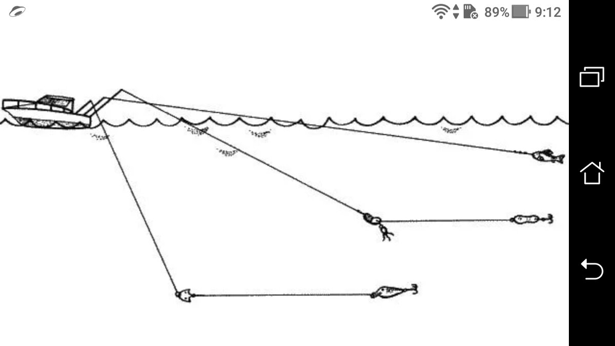Рыбалка троллингом: техника ловли и подбор снастей с оборудованием