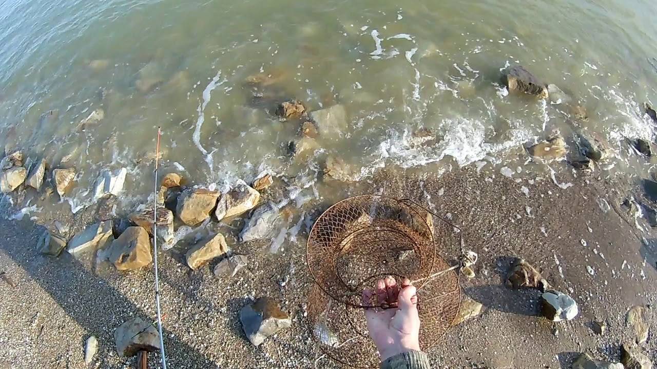 Ловля бычка на азовском море весной секреты снасти выбор наживки и влияние погоды