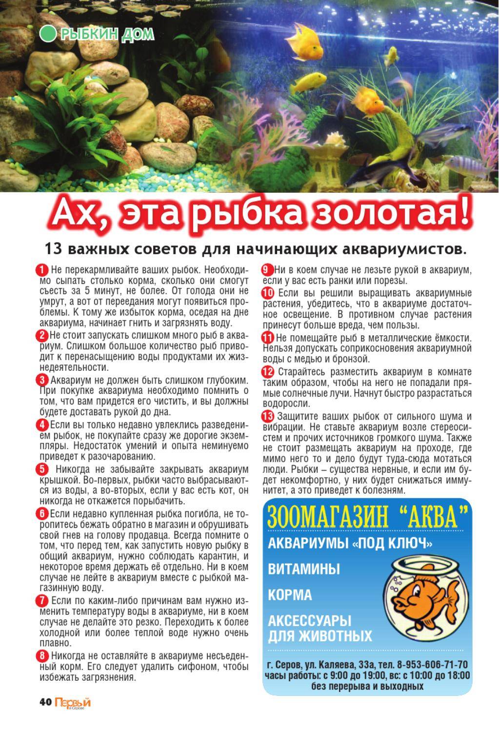 как ухаживать за аквариумом и рыбками для начинающих
