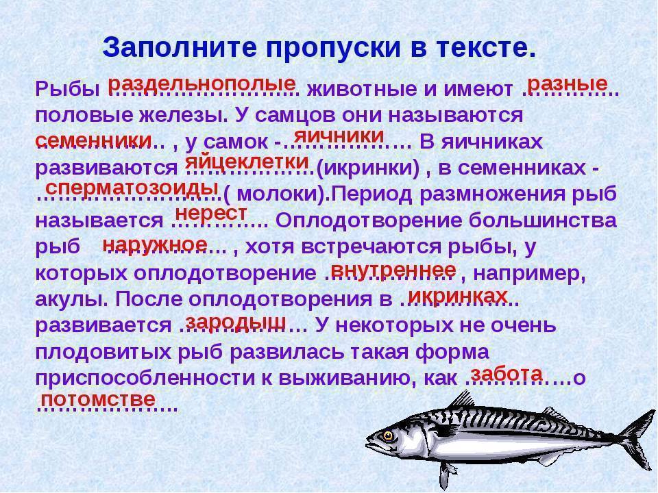 Что нужно знать о нересте у рыб