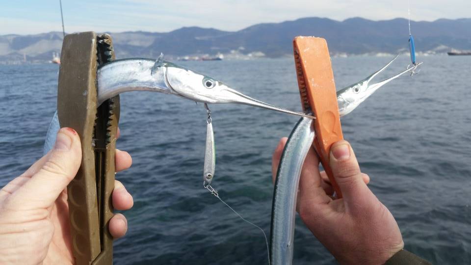 Рыбалка на черном море: ловля пеленгаса