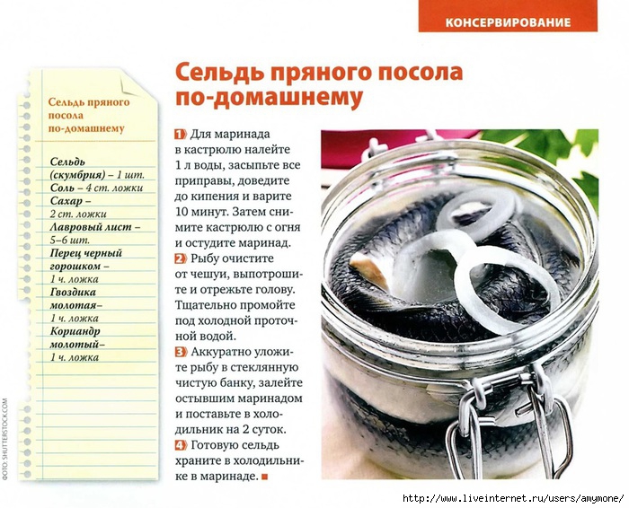 Как солить красную рыбу – 8 вкусных рецептов в домашних условиях