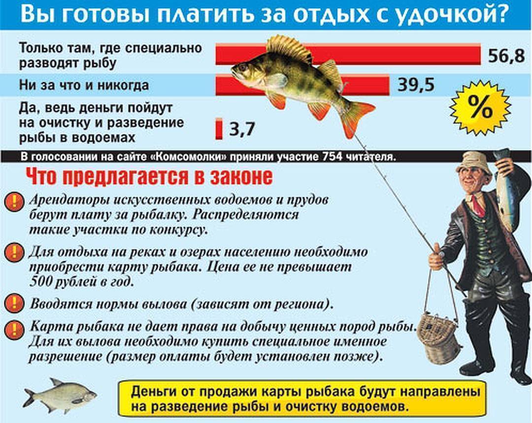 Правительство утвердило гигантские штрафы за незаконную рыбалку: полный список!