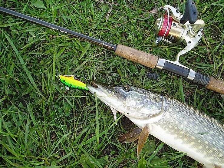 Рыбалка на спиннинг | спиннинг клаб - советы для начинающих рыбаков
ловля щуки ночью на спиннинг: секреты и тонкости рыбалки