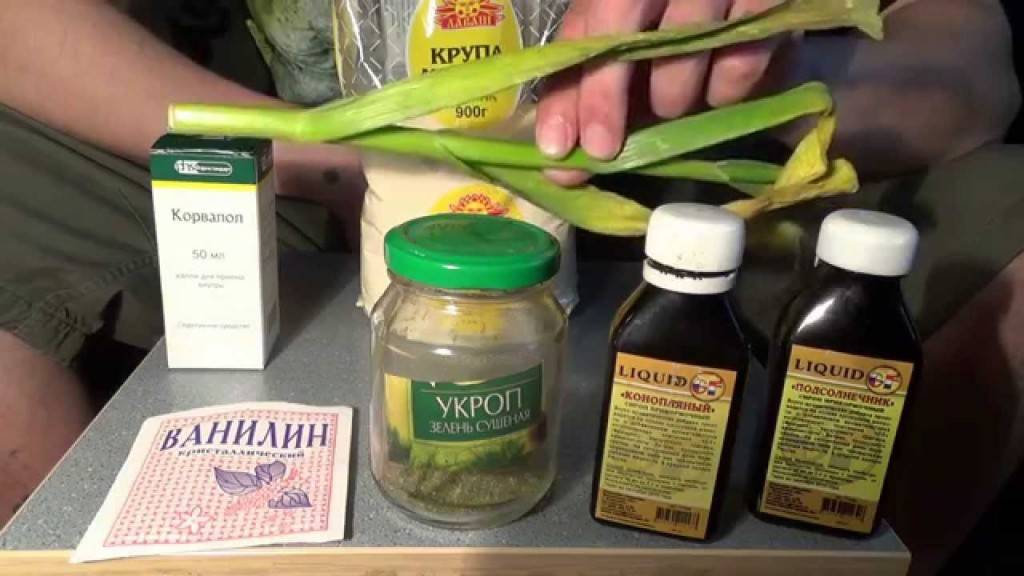 Как сделать прикормку для карася?