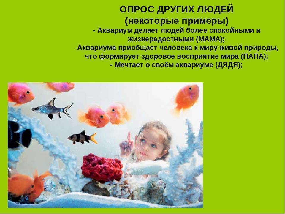 Как аквариум влияет на человека. роль аквариума в здоровье человека