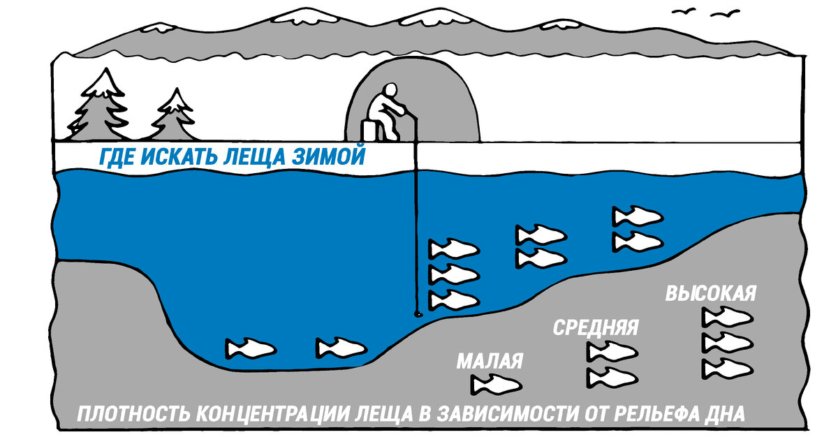 Зимняя ловля леща ночью