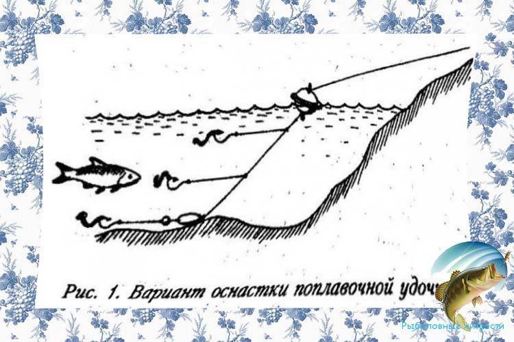 Ловля голавля на майского жука