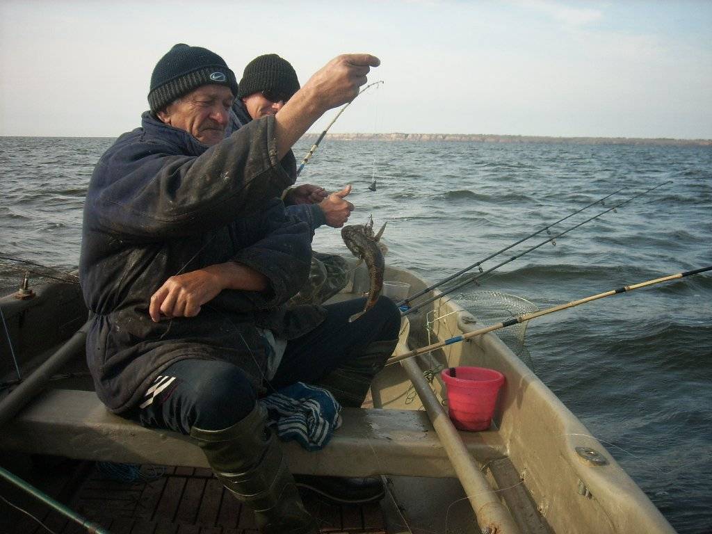 Ловля бычка. самые эффективные снасти для ловли бычка. фото. видео