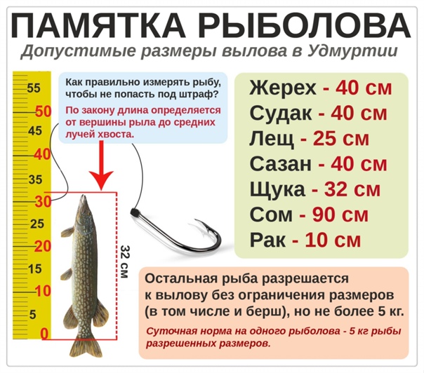 Новые законы рыболовство с 1 марта 2023 г —