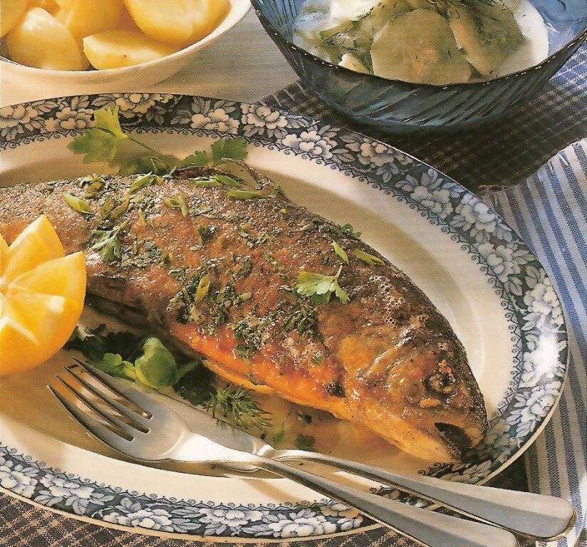 ???? сайда: что за рыба и ее как готовить: пошаговые рецепты с фото
